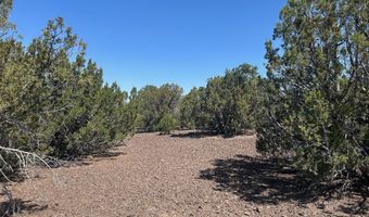 Lot 11 Uphill Trail, Vernon, AZ 85940