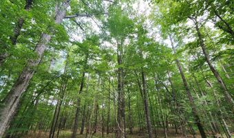 Tbd NE Bahalia Road, Brookhaven, MS 39601