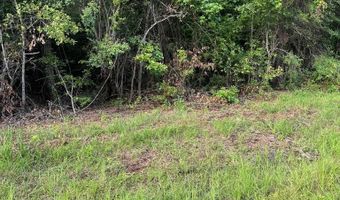 362 Timber Ln, Abbeville, AL 36310