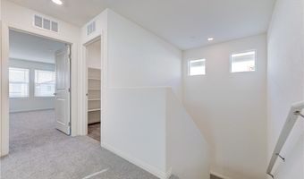 501 Red Lovebird Ave, Henderson, NV 89011