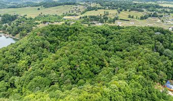Wyldwood Road, Abingdon, VA 24211