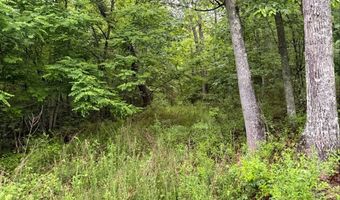 Tdb Cove Creek Rd, Bastian, VA 24314