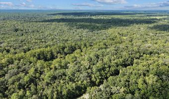 0000 73rd Way, Bell, FL 32619