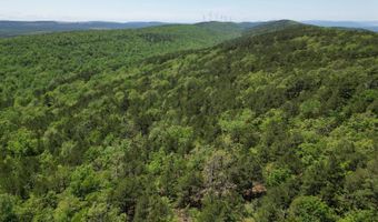TRACT 40 TRAIL RIDGE ROAD, Albion, OK 74571