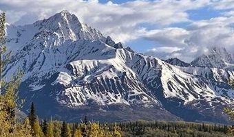 B005 S Packsaddle Road, Chickaloon, AK 99674