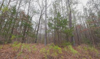 Long Cane Ame Rd, Abbeville, SC 29620