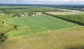 Dummyline Road, Batesville, MS 38606