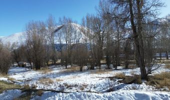 13999 E For Rd, Challis, ID 83226