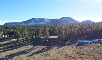 3 County Road N2261, Alpine, AZ 85920