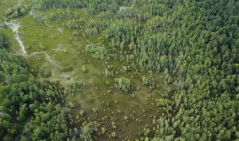 Goldenrod Drive, Barnwell, SC 29812