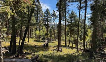 Calle de los Indios lot 101, Angel Fire, NM 87710