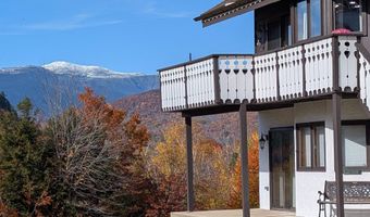 30 Christmas Mountain Rd H30, Bartlett, NH 03812