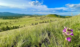 17 County Road 2114, Alpine, AZ 85920