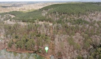 LOT 40 SIPSEY OVERLOOK, Double Springs, AL 35553