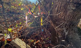 39425 Laurel Rd, Albany, OH 45710