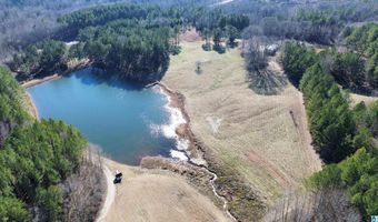 46088 HIGHWAY 77 Lot 0, Ashland, AL 36251