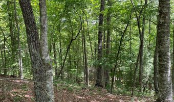 21 Collett Woods Trl Lot #21, Andrews, NC 28901