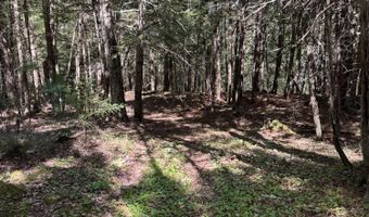 Route 9 lot 13, Aurora, ME 04428