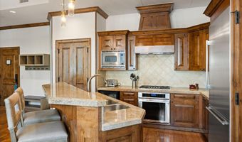 400 E Dean St 09Ab, Aspen, CO 81611