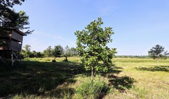 Vl 24 Mile Rd Lot # WP001, Albion, MI 49224