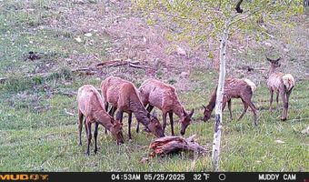 10643 CR 501, Bayfield, CO 81122