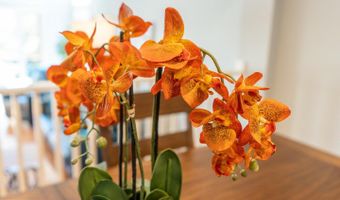 7038 CLINTON Ct #11B, Annapolis, MD 21403