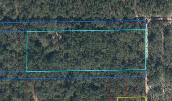 NE 123RD CT, Archer, FL 32618