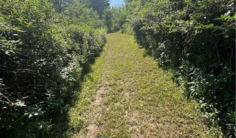 1868 Hess Rd, Andover, NY 14806