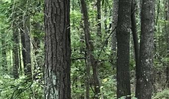 LAKESIDE LANE lot 19, Alpine, AL 35014