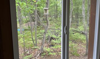 6239 Blackberry Dr, Alger, MI 48610