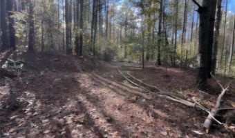 Jim Allred Road, Bankston, AL 35542