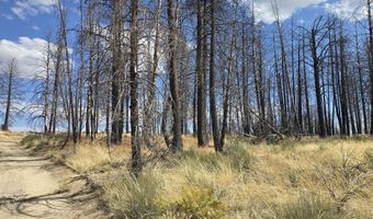 Valley Oak Lane, Bly, OR 97622