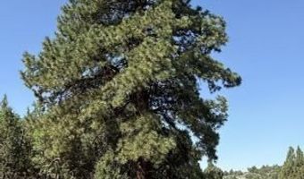 ALTON, Alton, UT 84710