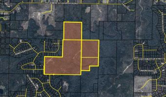 Broadview Avenue, Alford, FL 32420
