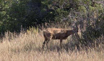 7187 CR 228, Bayfield, CO 81122