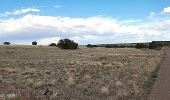 1 County Road 5088, Concho, AZ 85924