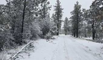 Night Owl Drive 26, Bonanza, OR 97623