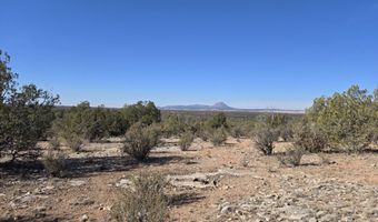 376 D Haywire, Ash Fork, AZ 86320