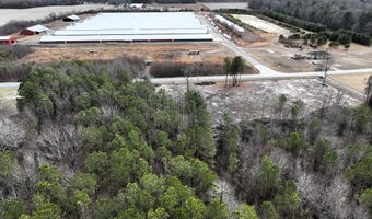 Lot 1 N UNION CHURCH RD, Ellendale, DE 19941