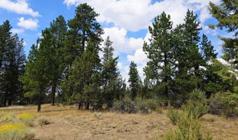 Swan Drive 16 & 17, Bonanza, OR 97623