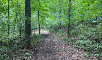14900 Woodbridge Rd, Camden, MI 49232