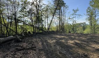 Tbd Green Springs Road, Abingdon, VA 24211