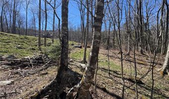 ES71 Twisted Oak Path, Banner Elk, NC 28604