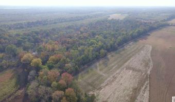 Holloway Landing Road, Barlow, KY 42024