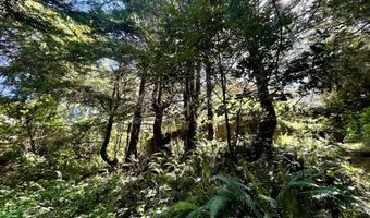 95629 CAPE FERRELO Rd, Brookings, OR 97415