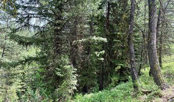 53 Landale Ln 37, Cascade, ID 83611
