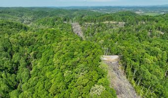Tbd Green Springs Road, Abingdon, VA 24211