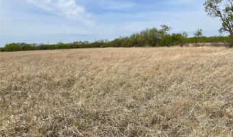 Hwy 6, Albany, TX 76424