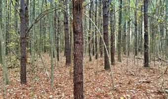 HWY 9, Bruce, MS 38915