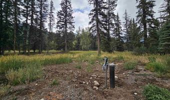 1229 W Vallecito Creek Rd, Bayfield, CO 81122